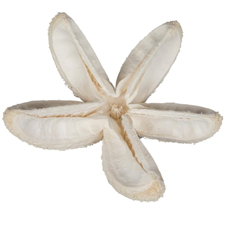 Dare2Decor 2.36 in. Bullet Artificial Flower, Bleached - 50 Piece per unit DA3256334